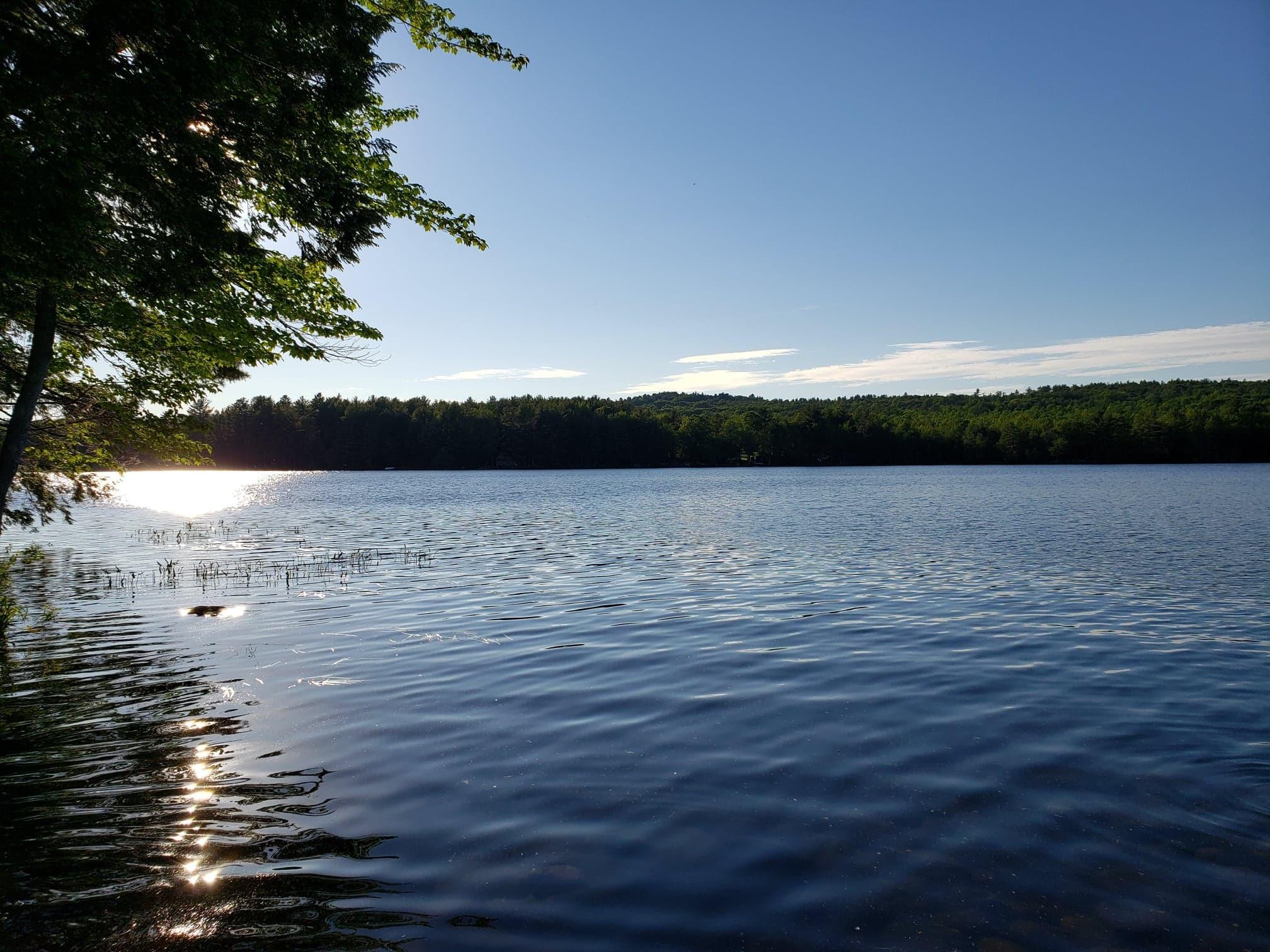 64 Duck Point Road Plymouth, ME 04969 - Photo 22 of 23 95945570_2594648874132302_98771002558355