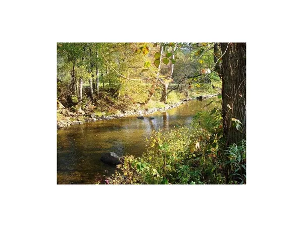 $28,000 | 0 Roan Creek Road, Mountain City, TN 37683