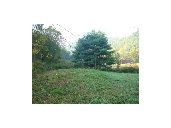 $28,000 | 0 Roan Creek Road, Mountain City, TN 37683