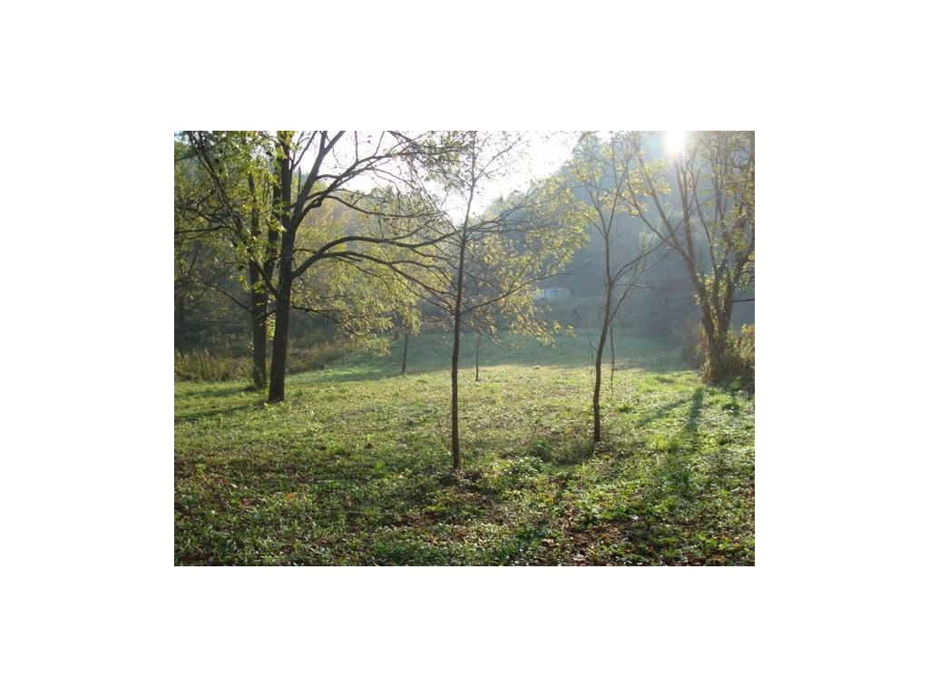 0 Roan Creek Road Mountain City, TN 37683 - Photo 4 of 6 The lot