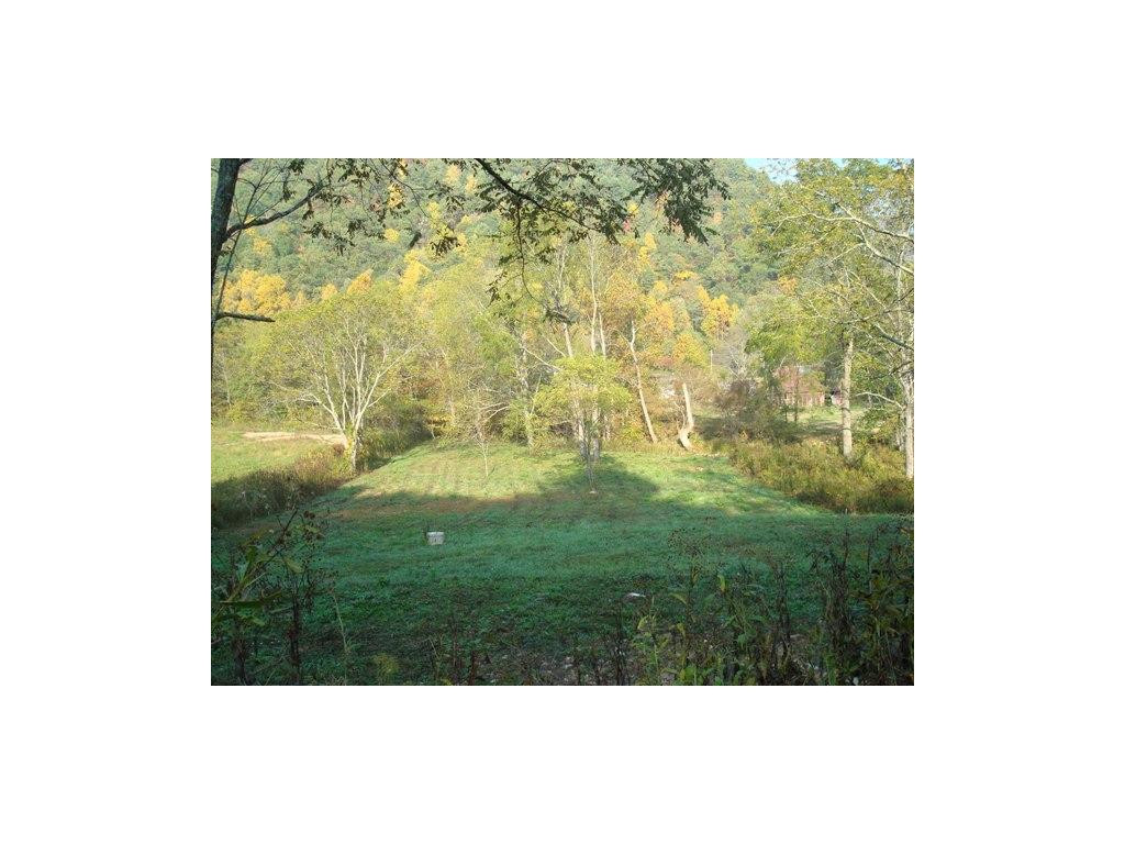 0 Roan Creek Road Mountain City, TN 37683 - Photo 5 of 6 Lot from the road