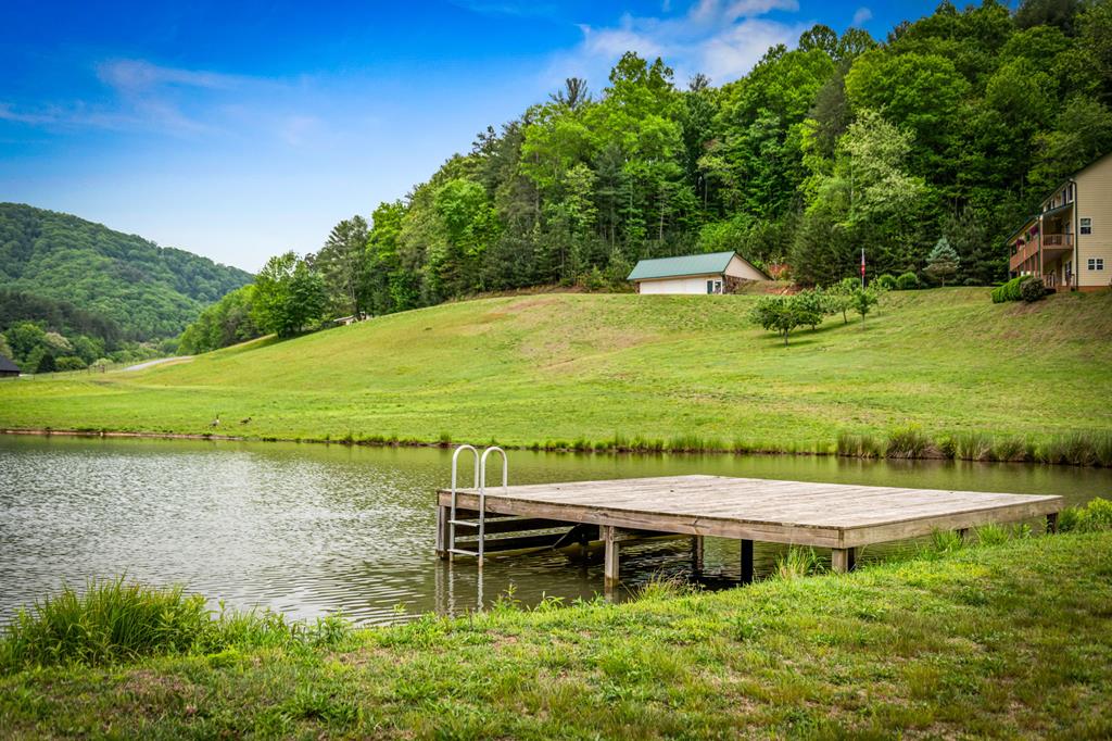 270 Ausburn Road Blue Ridge, GA 30513 - Photo 79 of 96