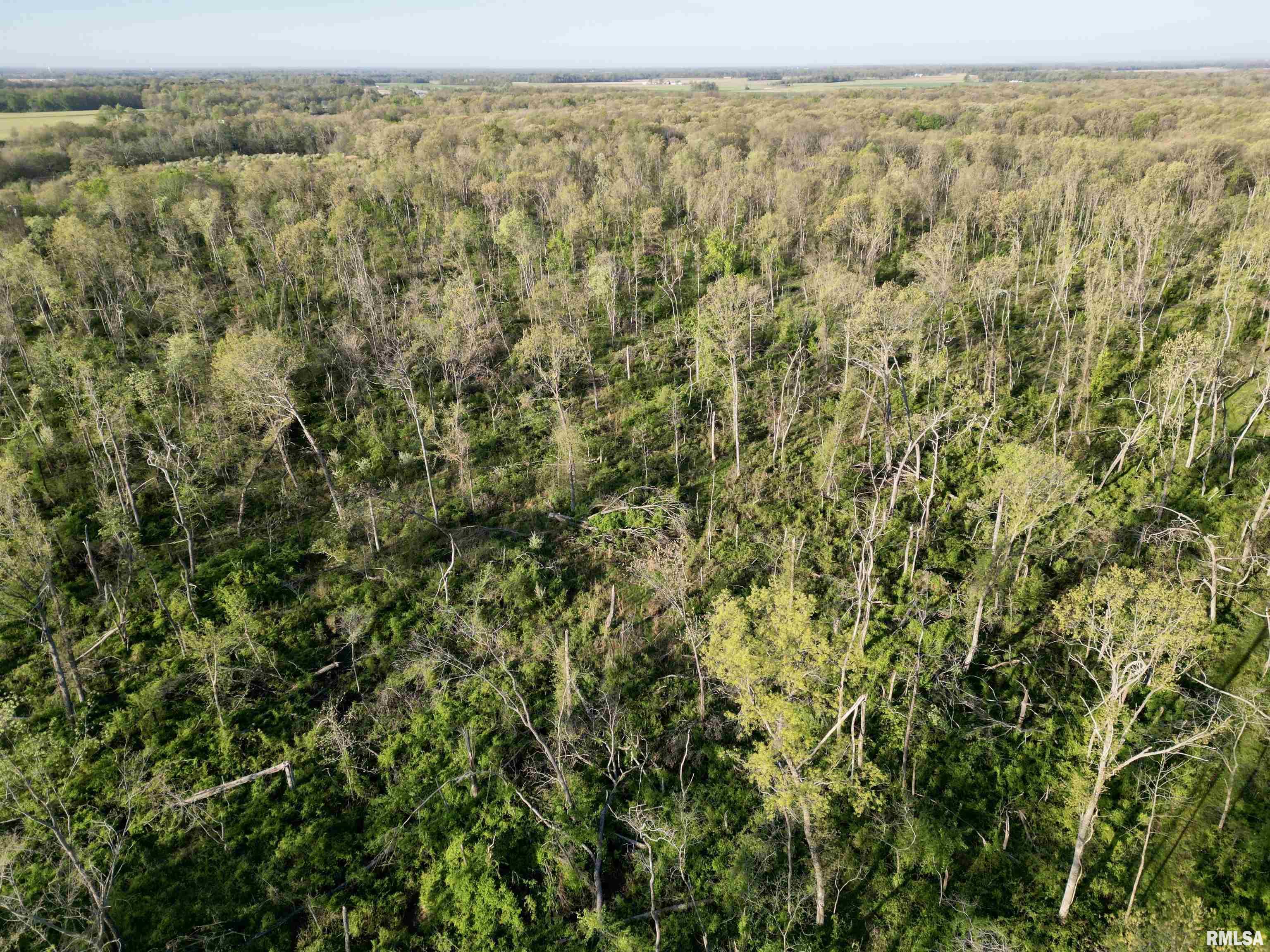 0 Bailey Road Salem, IL 62881 - Photo 11 of 17