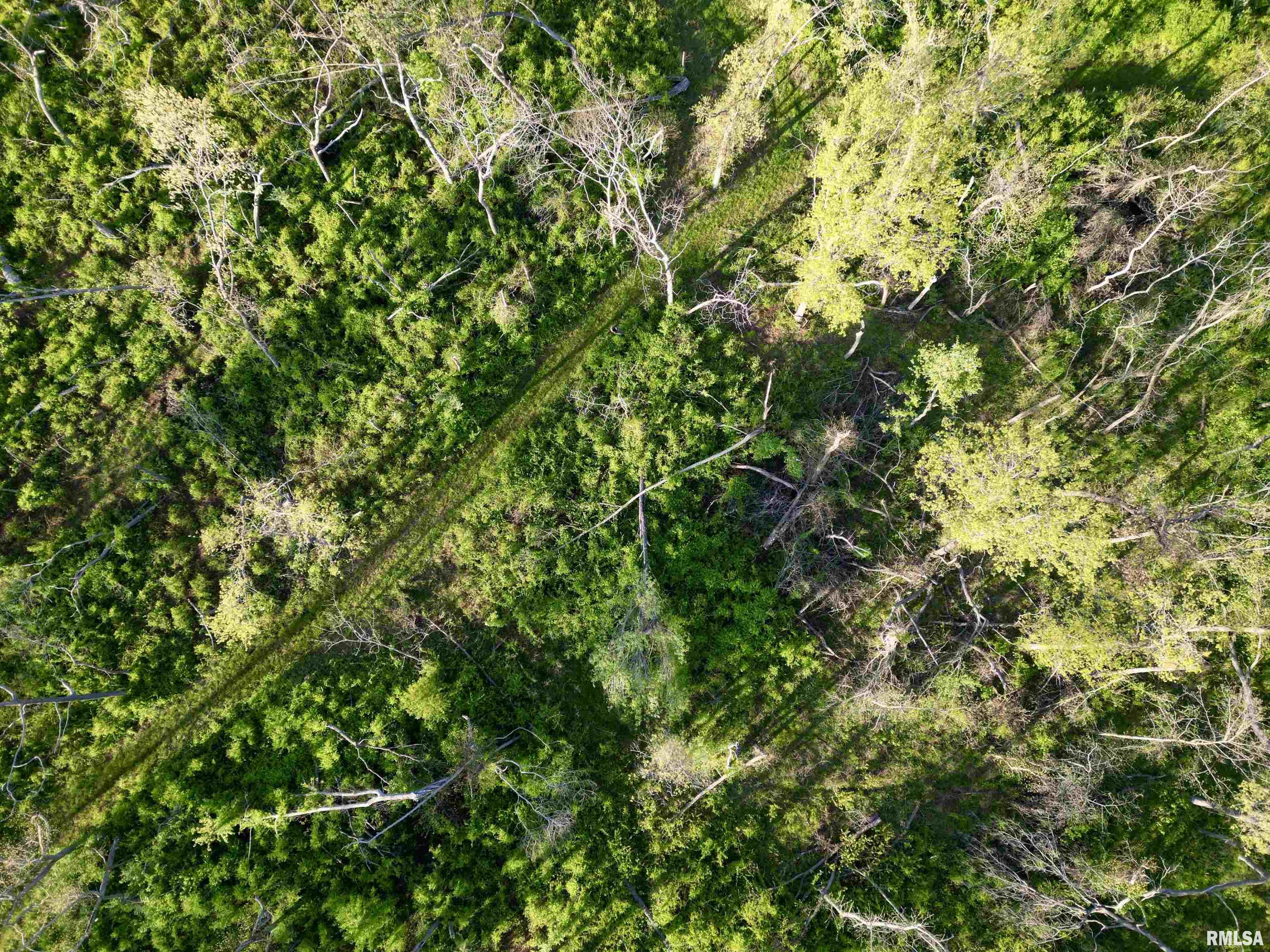 0 Bailey Road Salem, IL 62881 - Photo 12 of 17