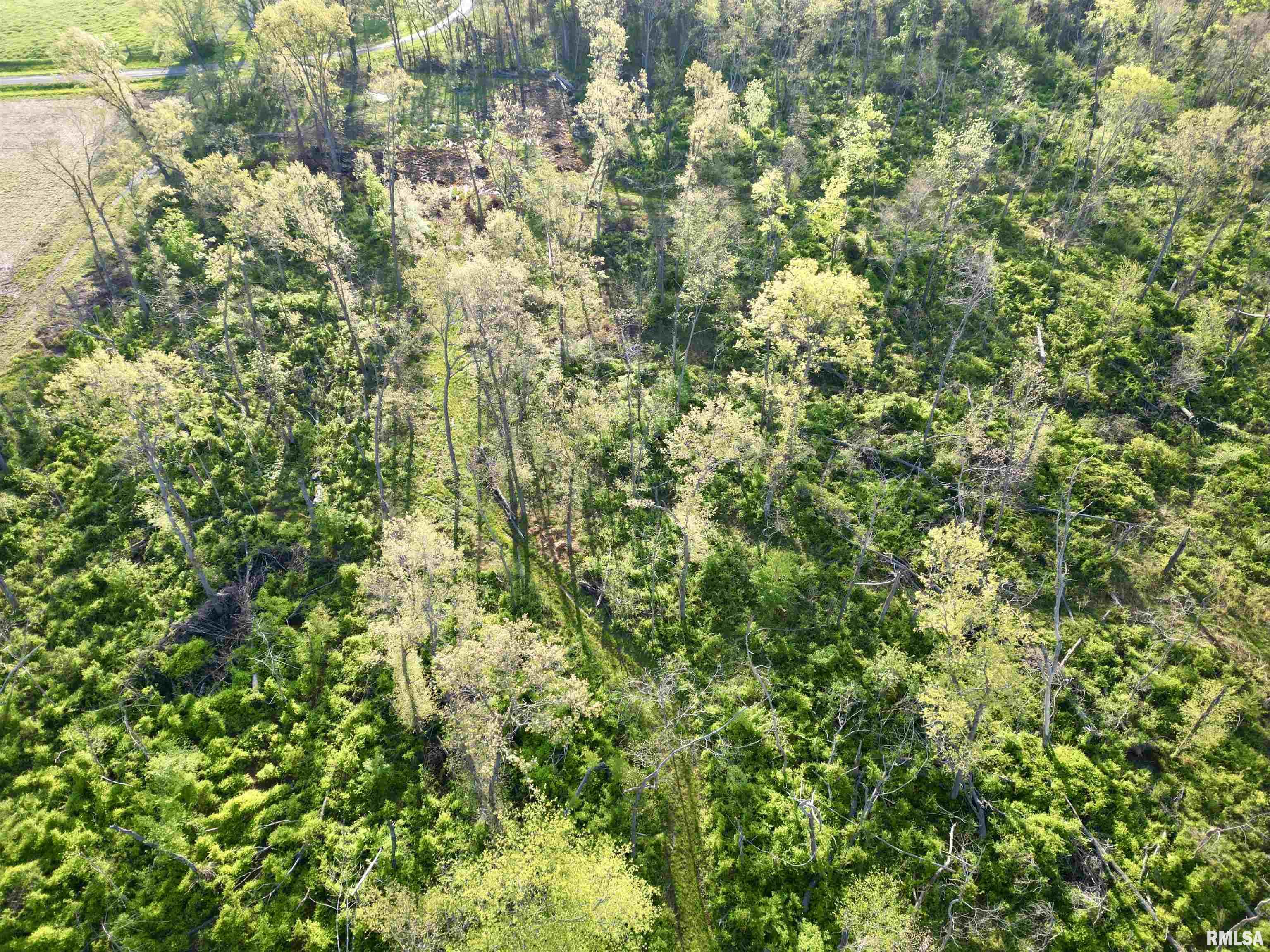 0 Bailey Road Salem, IL 62881 - Photo 13 of 17