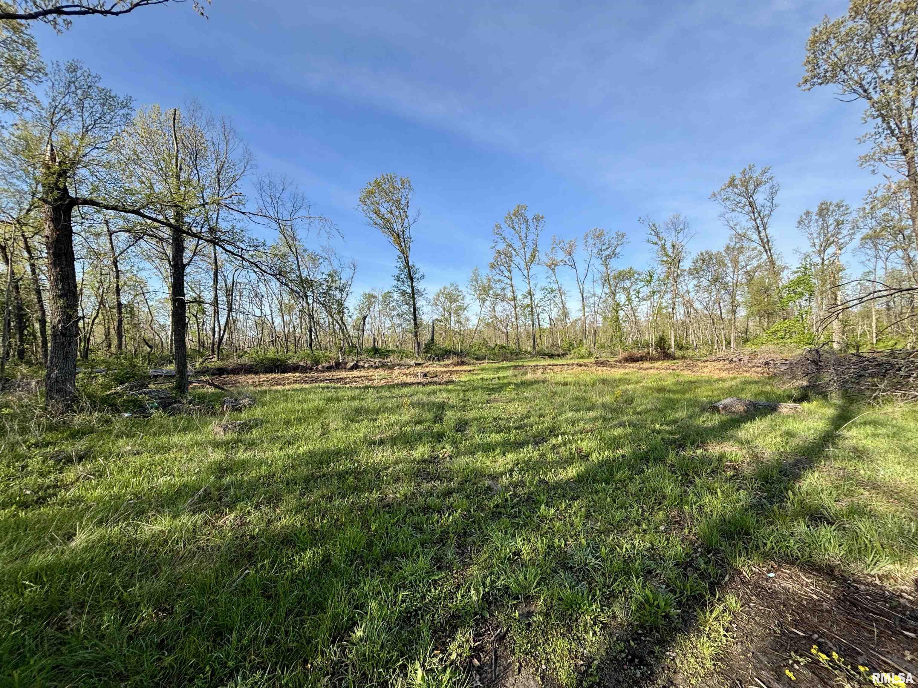 0 Bailey Road Salem, IL 62881 - Photo 14 of 17