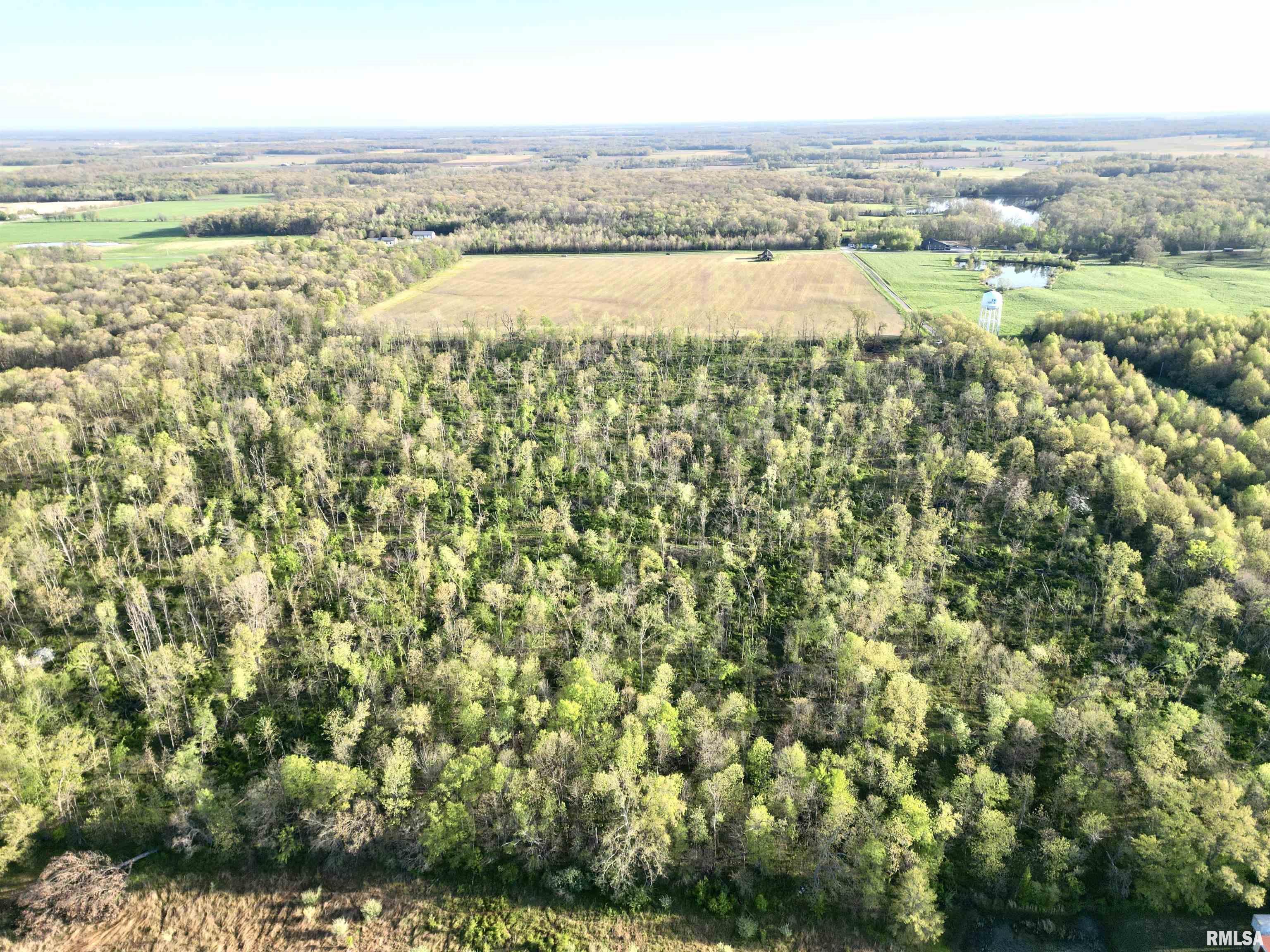0 Bailey Road Salem, IL 62881 - Photo 3 of 17