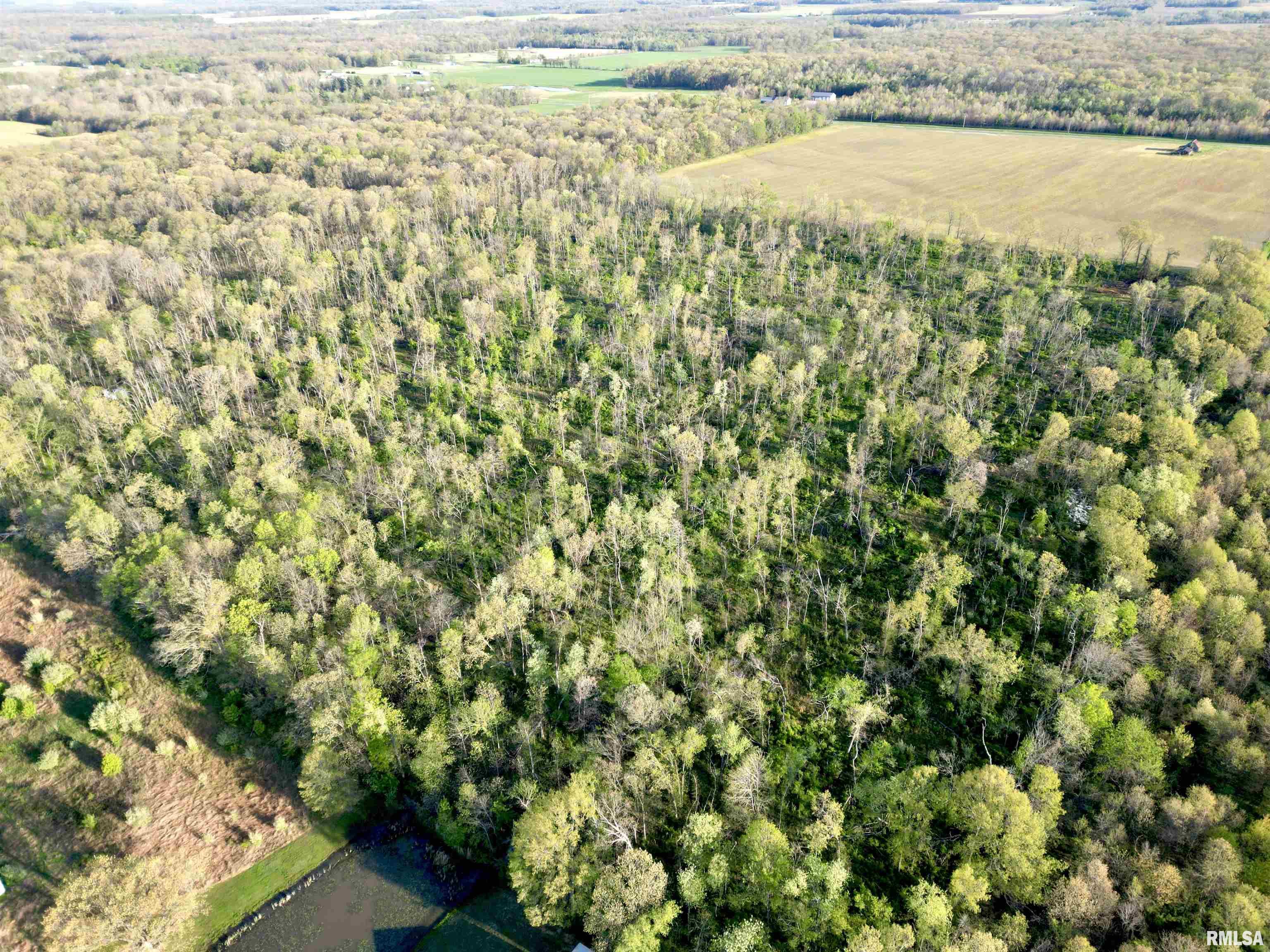 0 Bailey Road Salem, IL 62881 - Photo 4 of 17