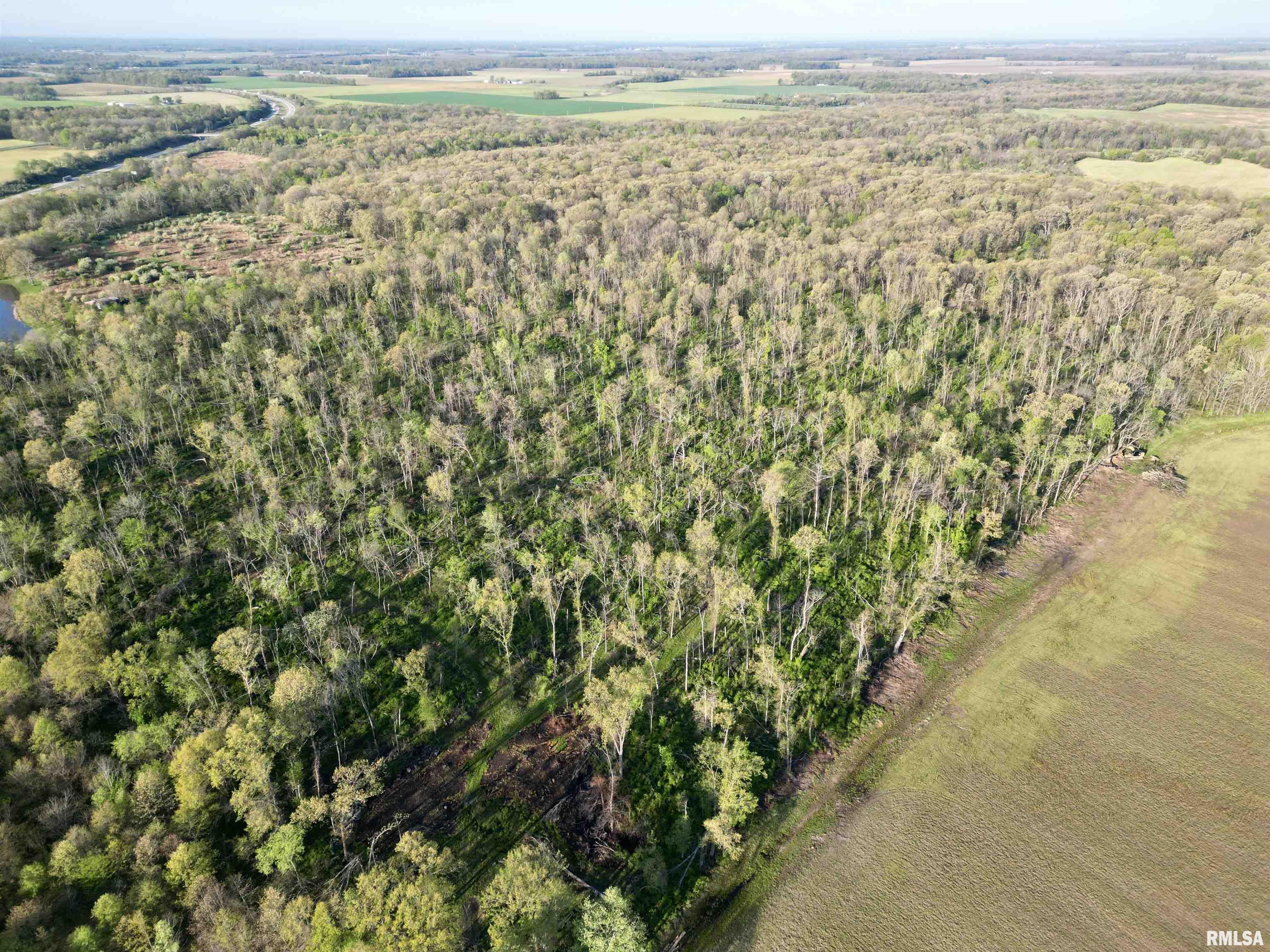 0 Bailey Road Salem, IL 62881 - Photo 5 of 17