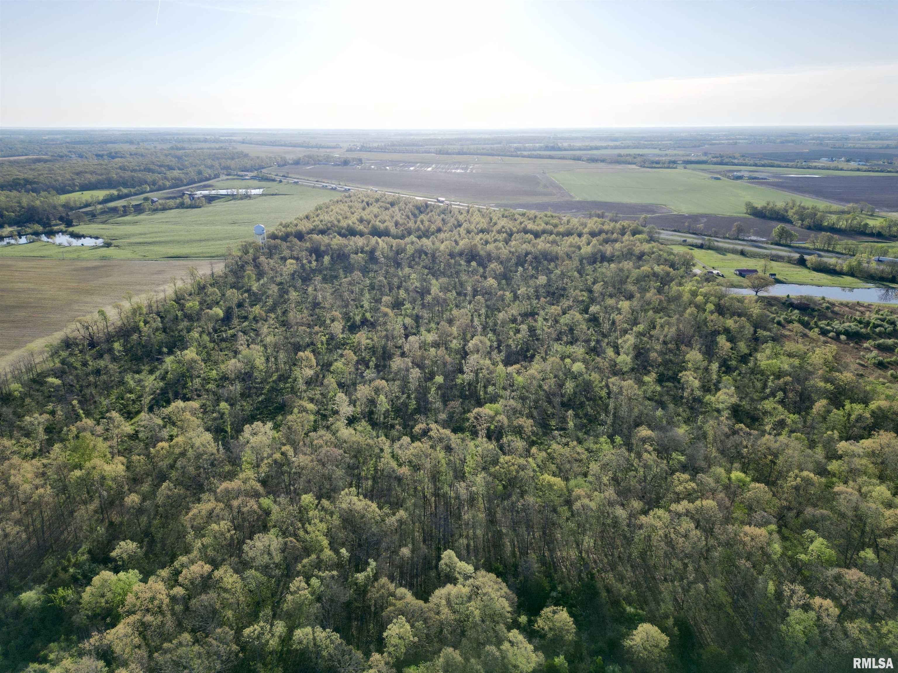 0 Bailey Road Salem, IL 62881 - Photo 6 of 17