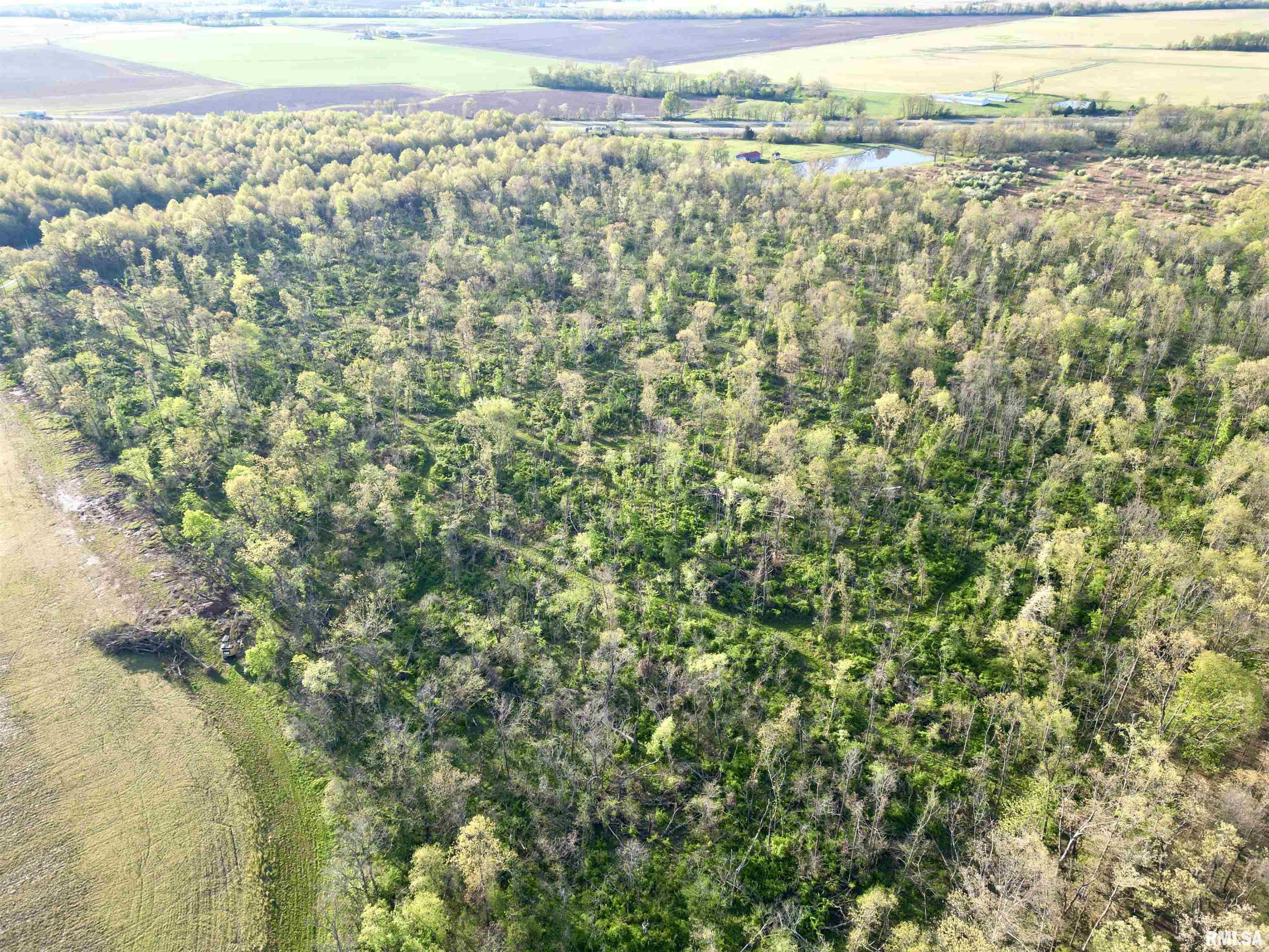 0 Bailey Road Salem, IL 62881 - Photo 7 of 17