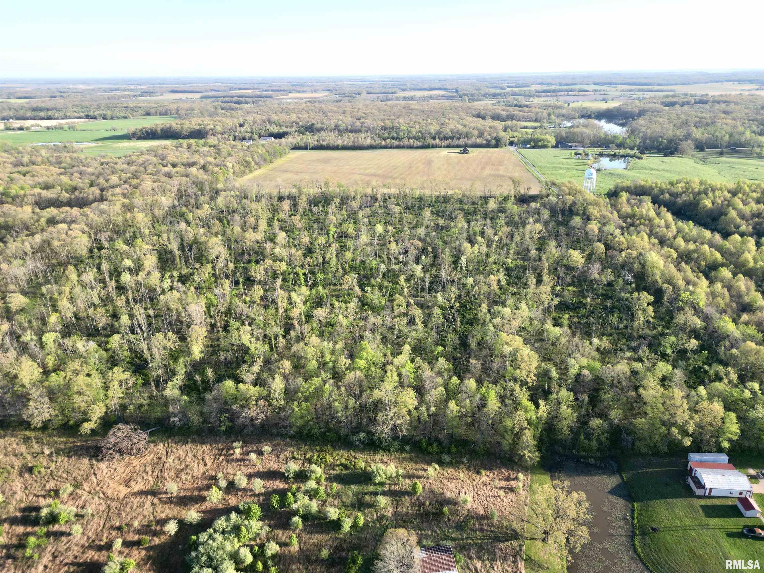 0 Bailey Road Salem, IL 62881 - Photo 8 of 17