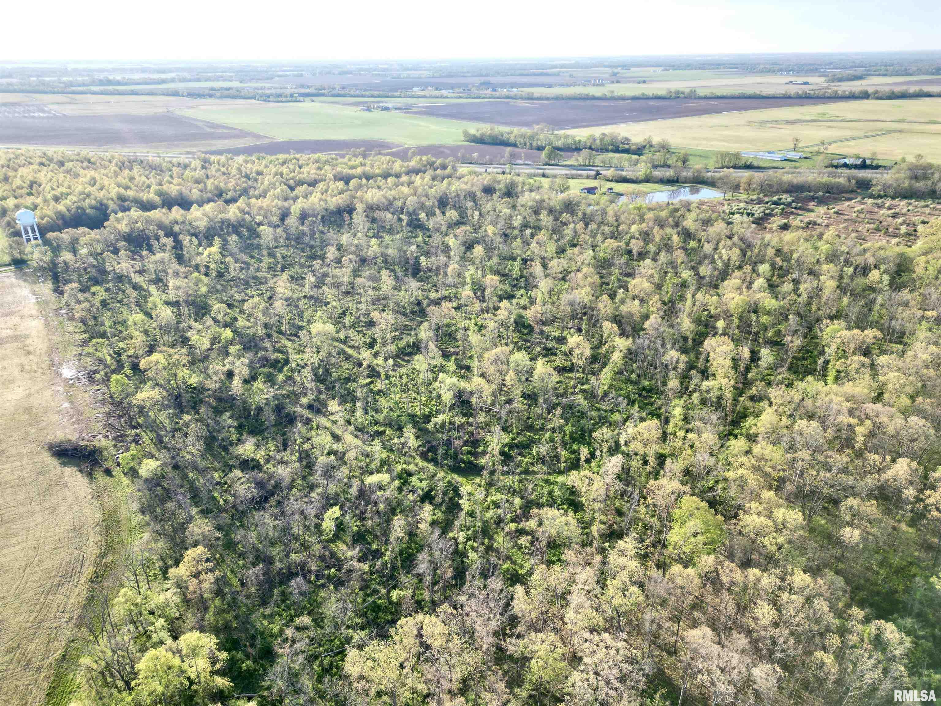 0 Bailey Road Salem, IL 62881 - Photo 10 of 17