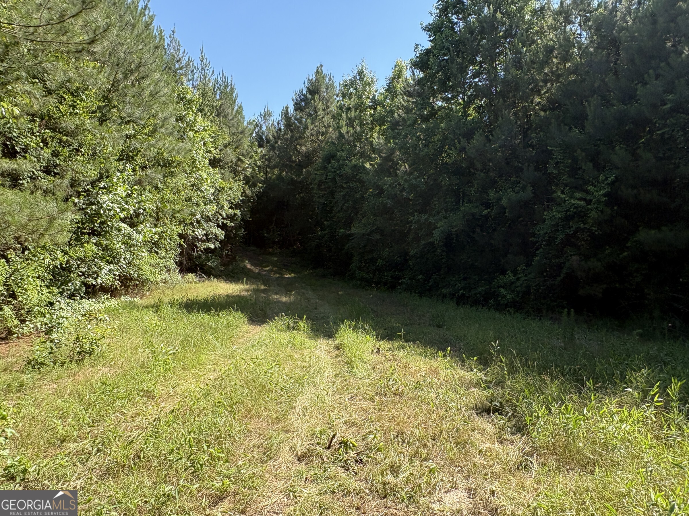 L9 North Indian Trail Road Sandersville, GA 31082 - Photo 5 of 19