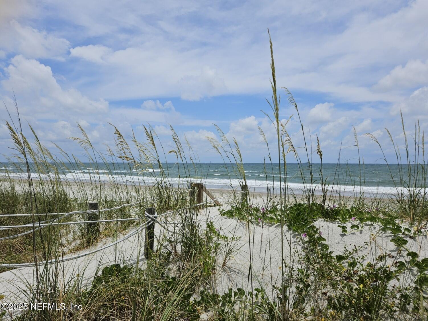 180 Kingston Drive St. Augustine, FL 32084 - Photo 51 of 55 a view of a yard