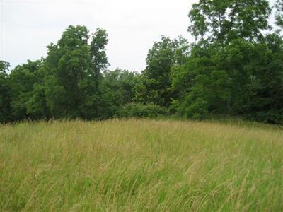 9999 Tracy Road Lawrenceburg, KY 40342 - Photo 22 of 41 Photo 22