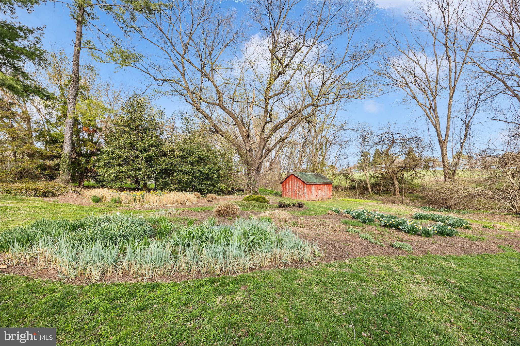 22315 Nicholson Farm Road Dickerson, MD 20842 - Photo 11 of 62 OLIA3924