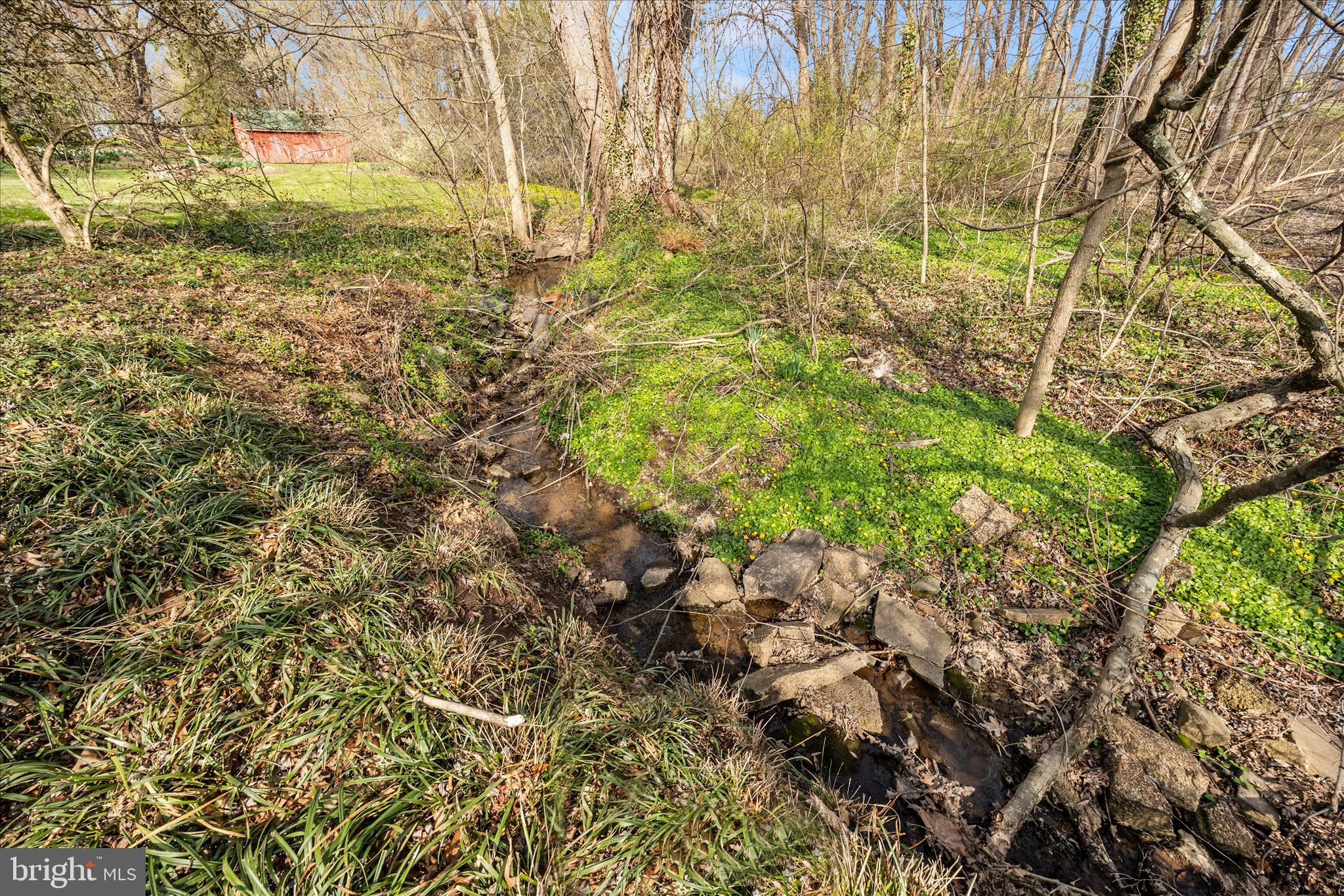 22315 Nicholson Farm Road Dickerson, MD 20842 - Photo 62 of 62 OLIA3898