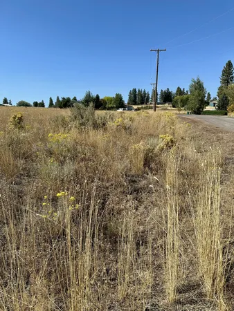 $9,000 | 0 Newman Place, Unit 35, Chiloquin, OR 97624