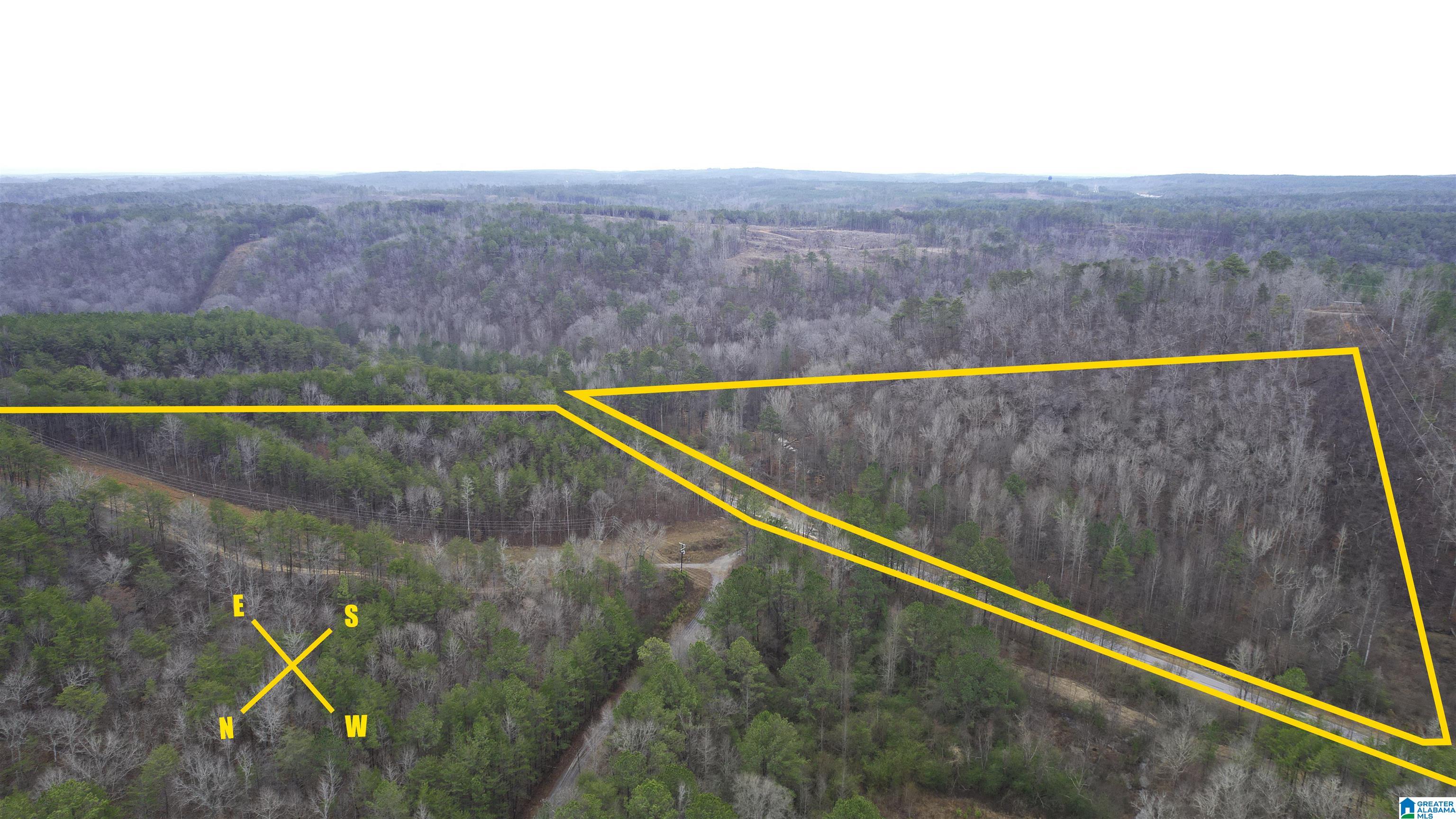 8751 Groundhog Road, Unit 41 ACRES Adger, AL 35006 - Photo 3 of 17