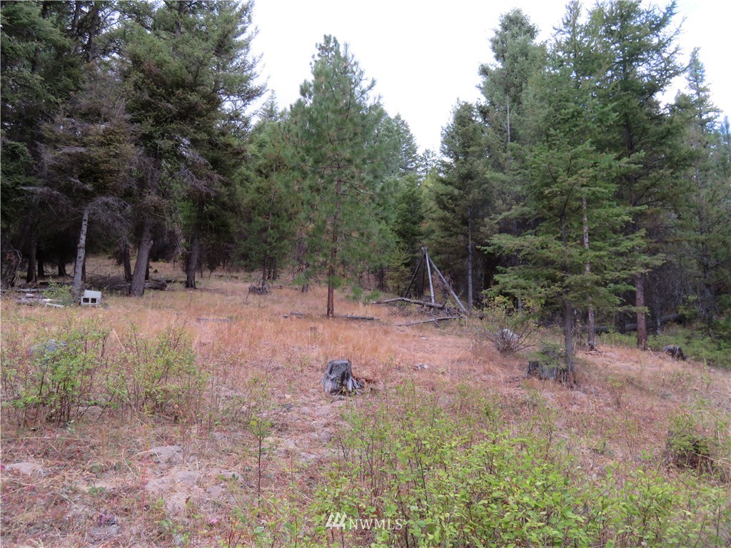 -tbd Tbd Tamarack Ridge Road Tonasket, WA 98855 - Photo 1 of 12