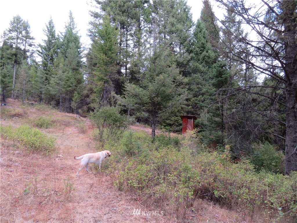-tbd Tbd Tamarack Ridge Road Tonasket, WA 98855 - Photo 2 of 12