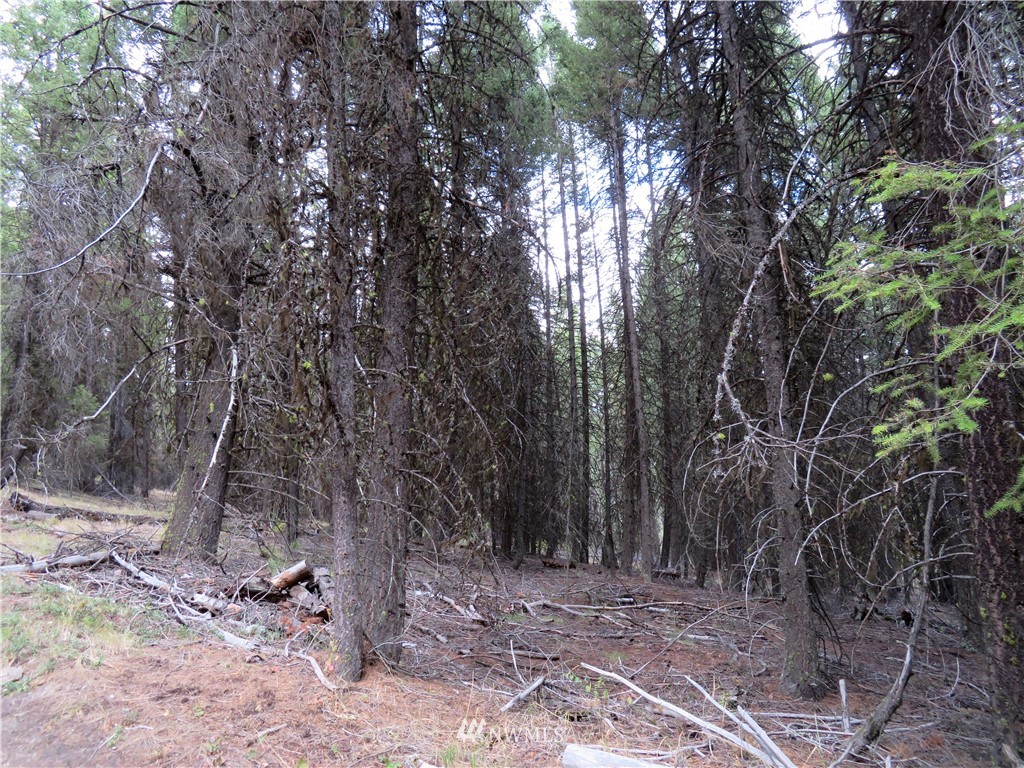 -tbd Tbd Tamarack Ridge Road Tonasket, WA 98855 - Photo 11 of 12