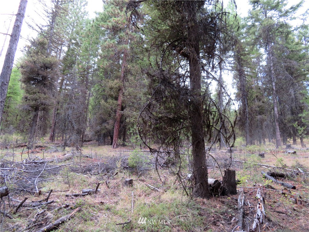 -tbd Tbd Tamarack Ridge Road Tonasket, WA 98855 - Photo 12 of 12