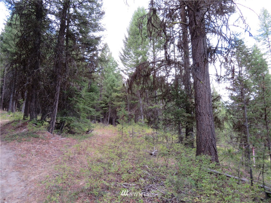 -tbd Tbd Tamarack Ridge Road Tonasket, WA 98855 - Photo 3 of 12