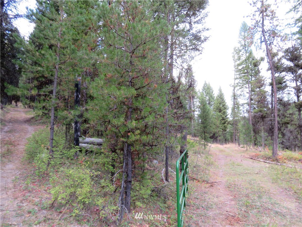 -tbd Tbd Tamarack Ridge Road Tonasket, WA 98855 - Photo 4 of 12