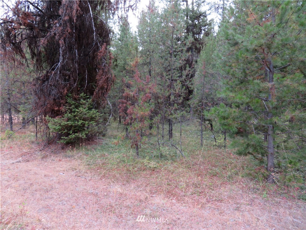 -tbd Tbd Tamarack Ridge Road Tonasket, WA 98855 - Photo 5 of 12
