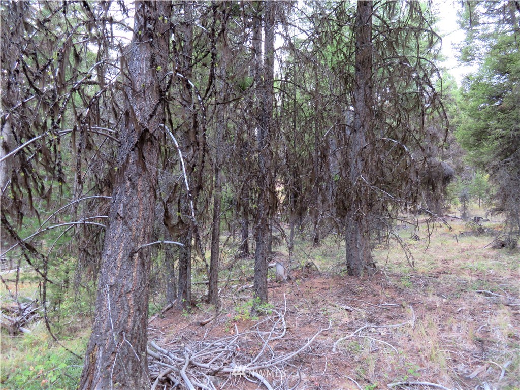 -tbd Tbd Tamarack Ridge Road Tonasket, WA 98855 - Photo 7 of 12
