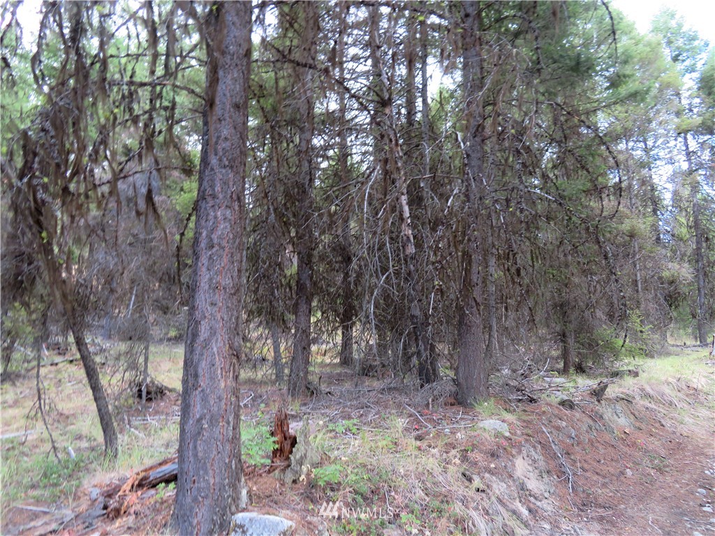 -tbd Tbd Tamarack Ridge Road Tonasket, WA 98855 - Photo 10 of 12