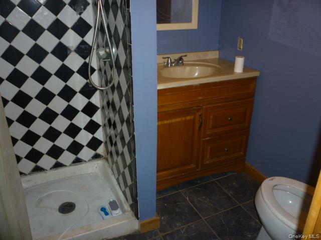 11 Hazel Drive Patterson, NY 12563 - Photo 18 of 20 a bathroom with a sink toilet and shower