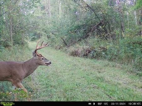 East Lee Road Albion, NY 14411 - Photo 7 of 20 Gallery Image 7