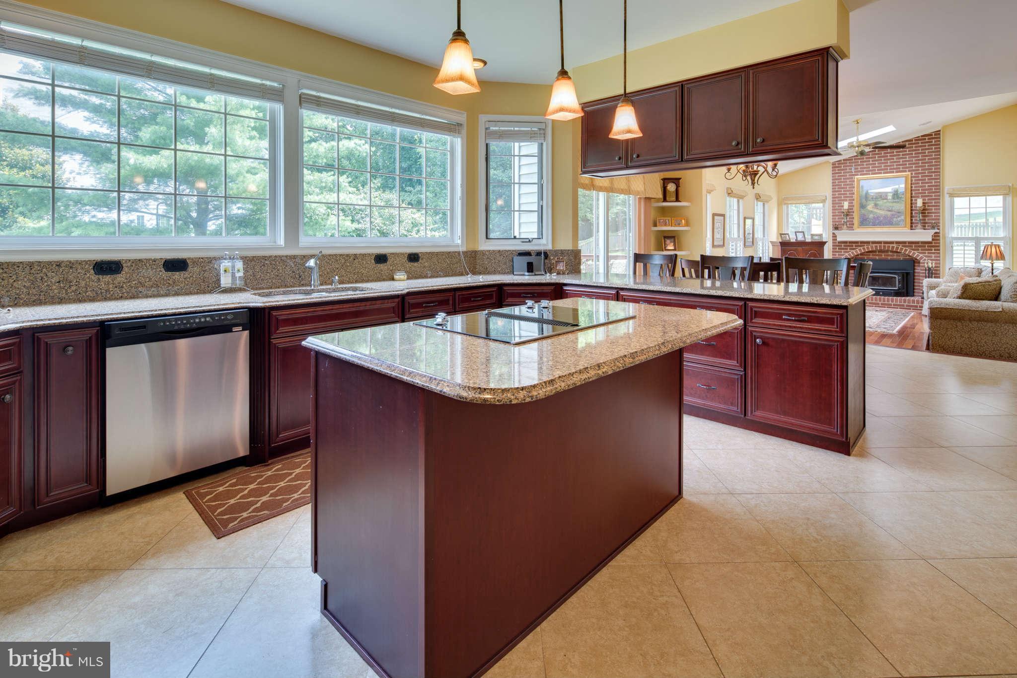 10300 Wetherburn Road Ellicott City, MD 21163 - Photo 3 of 30 Gourmet Kitchen with Cherry Cabinets
