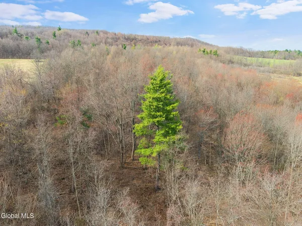 $250,000 | 3260 County Road 31, Cherry Valley, NY 13320