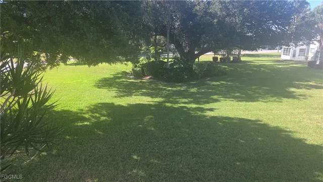 a view of a trees in a yard