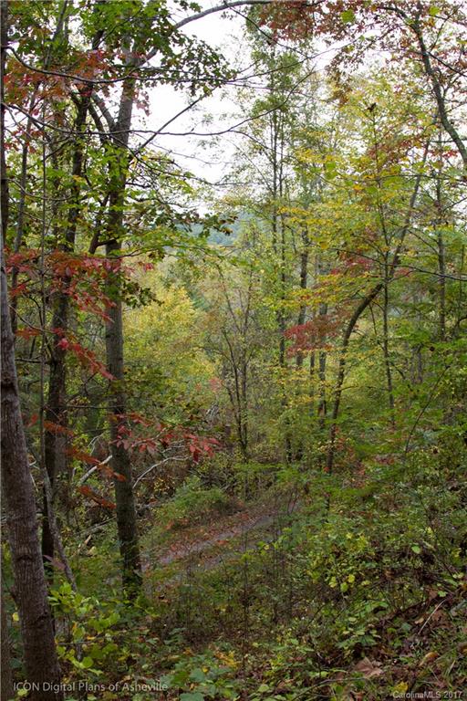 8 Elmers Place Fairview, NC 28730 - Photo 21 of 21 a view of a yard