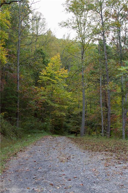 8 Elmers Place Fairview, NC 28730 - Photo 5 of 21 a view of a yard