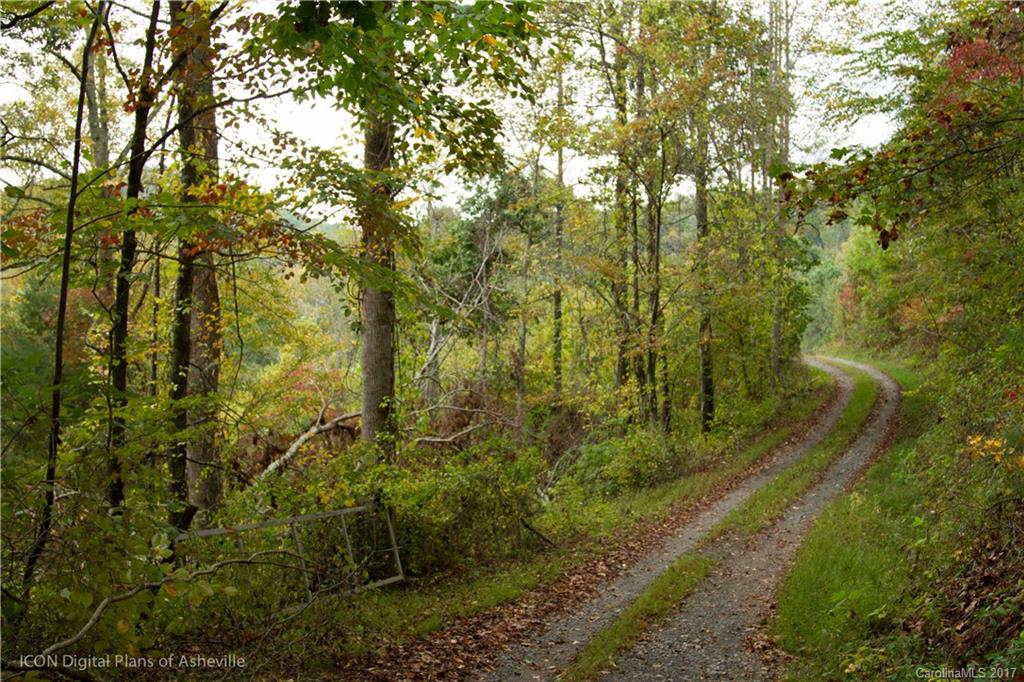8 Elmers Place Fairview, NC 28730 - Photo 7 of 21 a view of a yard with large trees