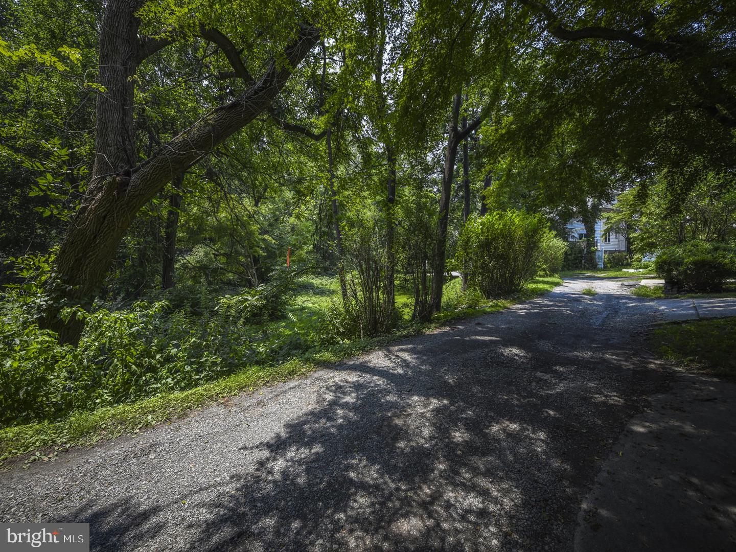 372 Church Road Elkins Park, PA 19027 - Photo 34 of 34 Rear Access Road