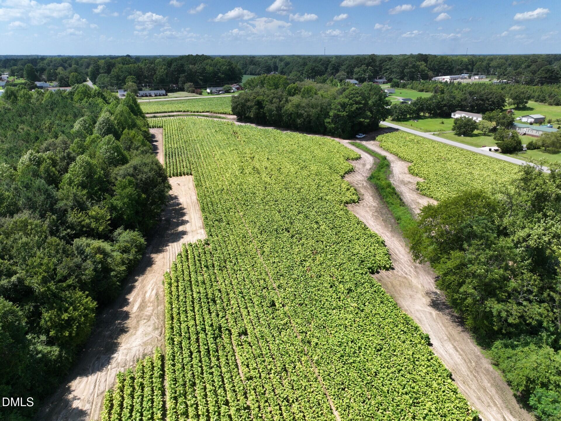 Lot 2 River Run Road Selma, NC 27576 - Photo 19 of 25 Pic 19 Selma