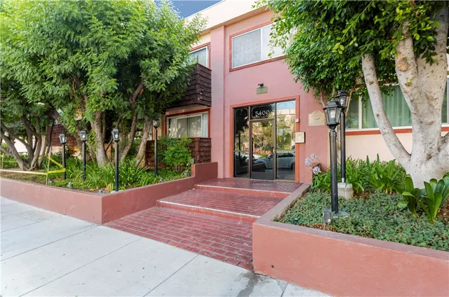 a view of a garden with potted plants