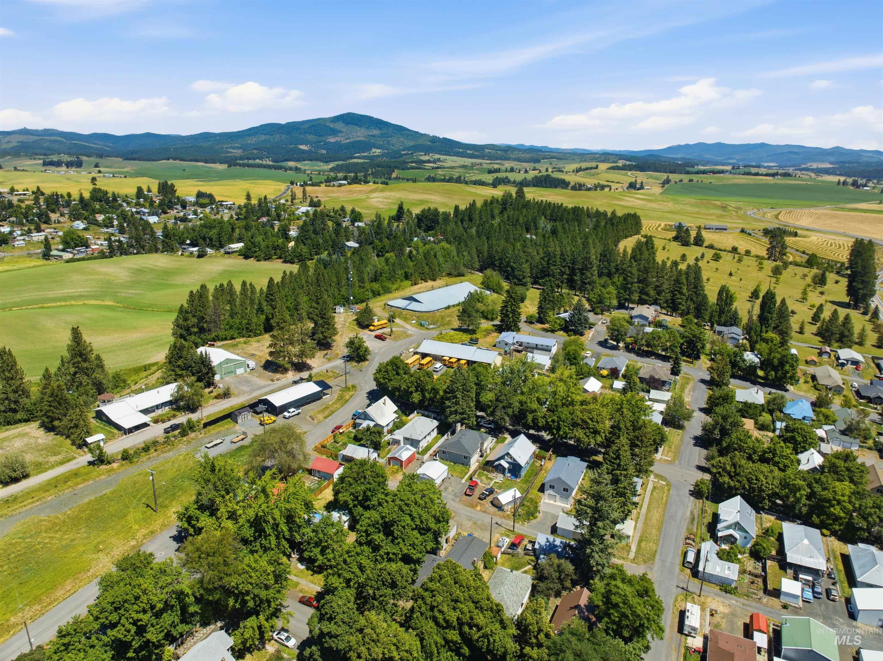 735 Oak Street Potlatch, ID 83855 - Photo 29 of 30 Aerial perspective showcasing a residential area amidst expansive green fields and distant mountains