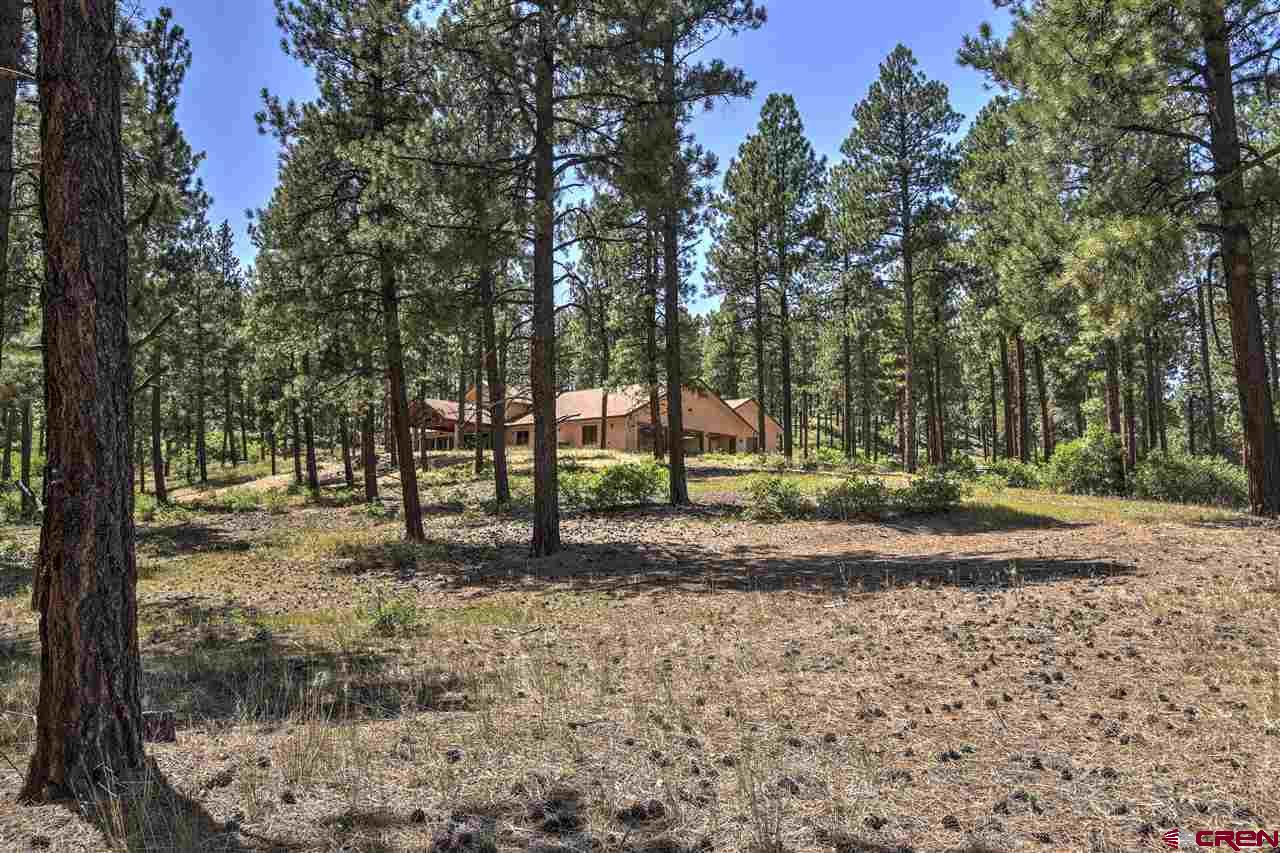 839 Bald Eagle Road Bayfield, CO 81122 - Photo 28 of 35