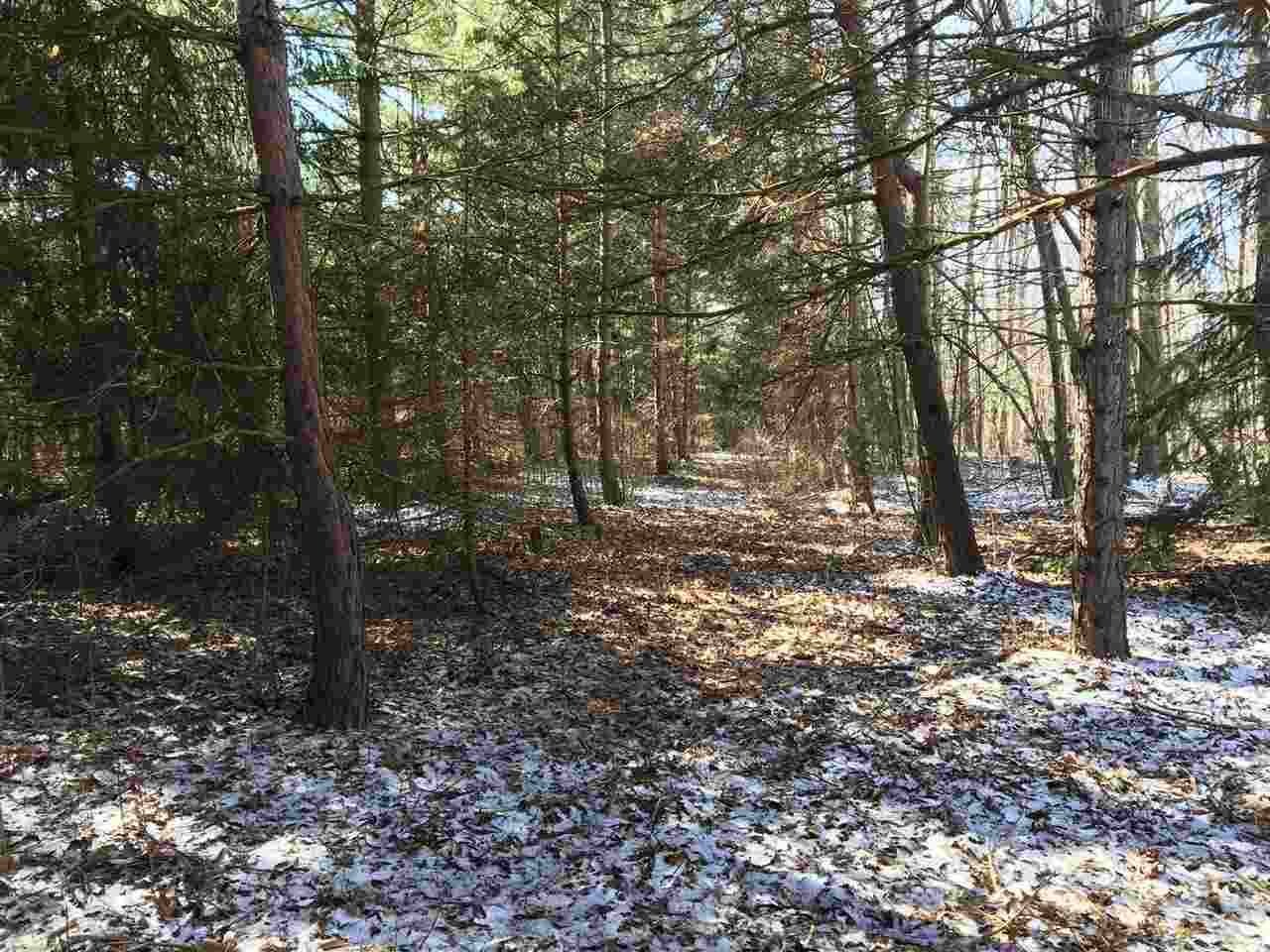 Parcel A North Byron Road Lennon, MI 48449 - Photo 16 of 22