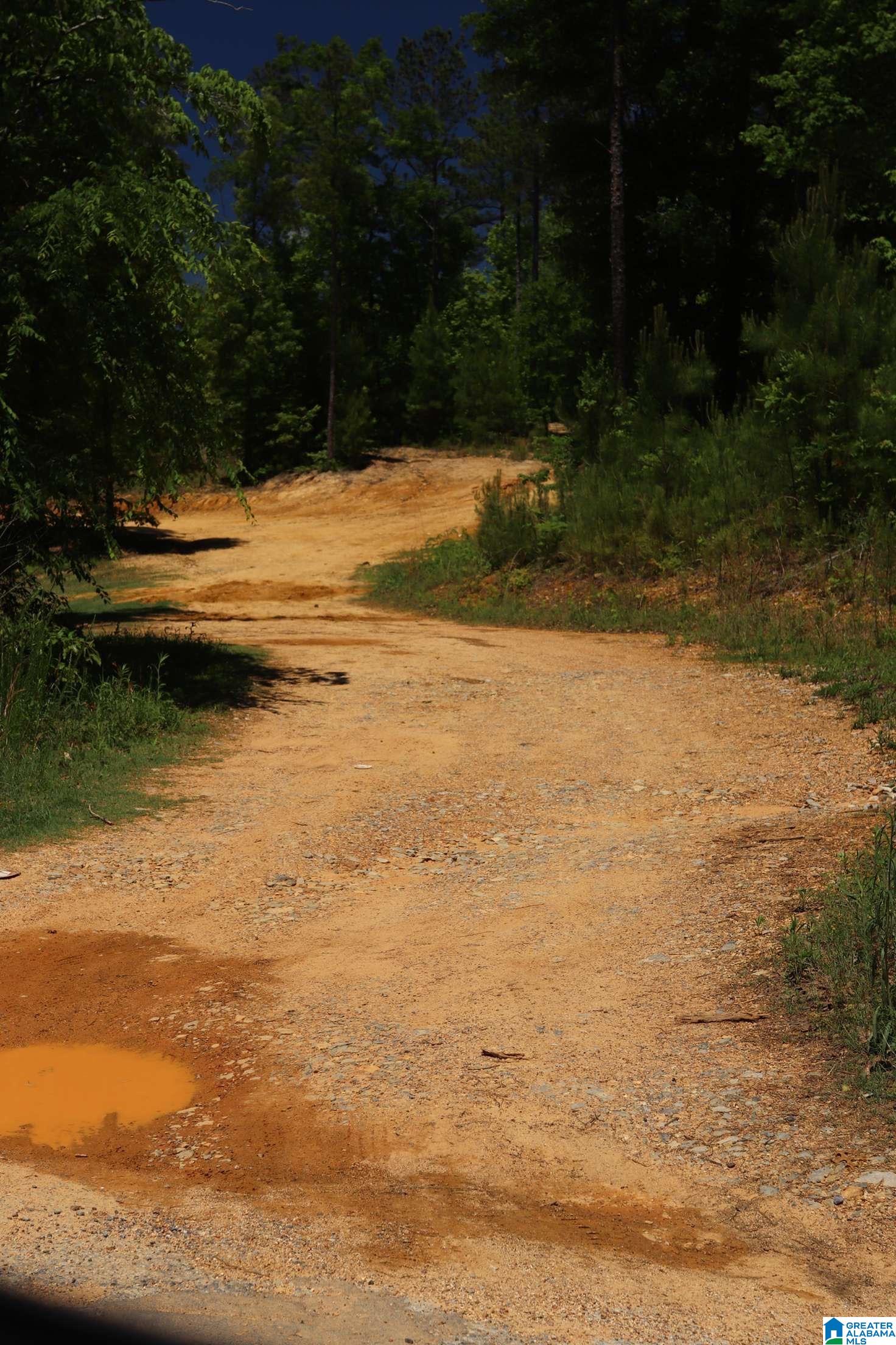2930 Shocco Springs Road Talladega, AL 35160 - Photo 3 of 93