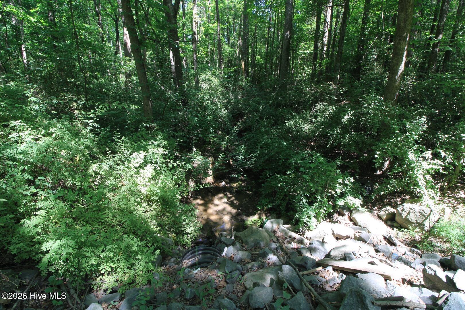10466 Moores Chapel Road Charlotte, NC 28214 - Photo 48 of 50 Ground Water Runoff - Creek