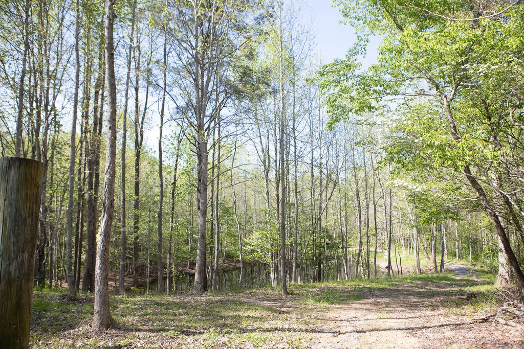 1057 Willette Road Red Boiling Springs, TN 37150 - Photo 26 of 31 a view of outdoor space and yard